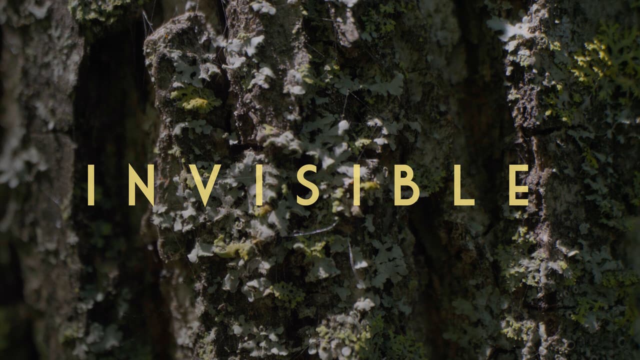 Invisible - Revealing Hidden Disabilities