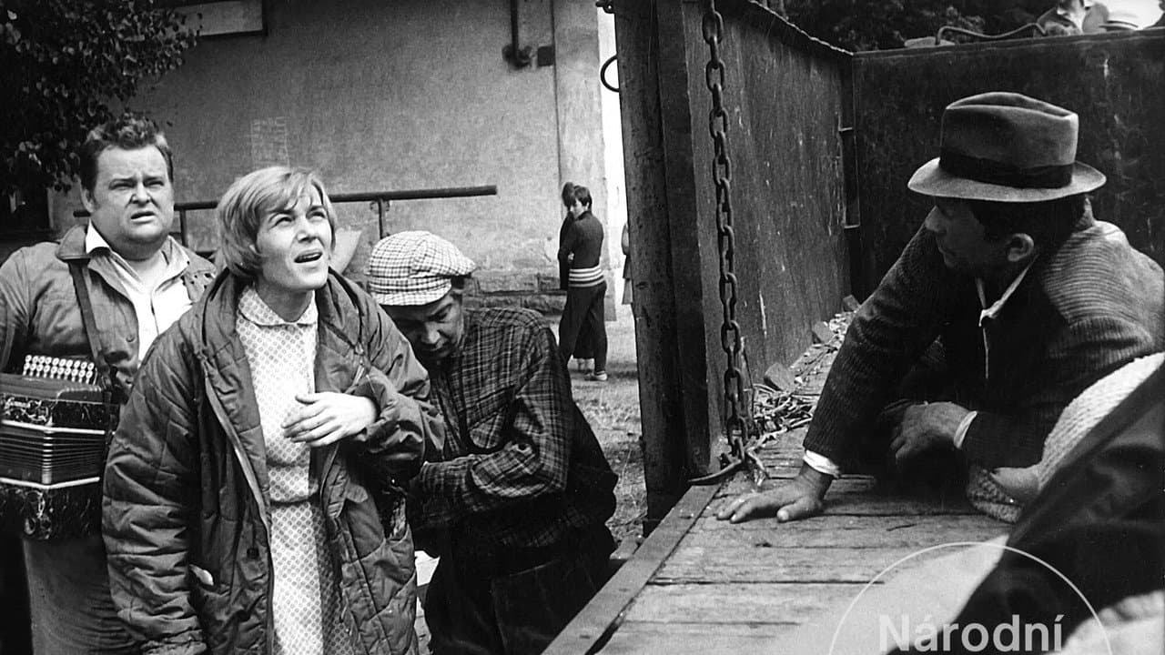 The Seventh Day, the Eighth Night