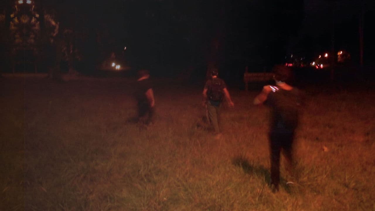 Los Archivos Del Parque Pereyra