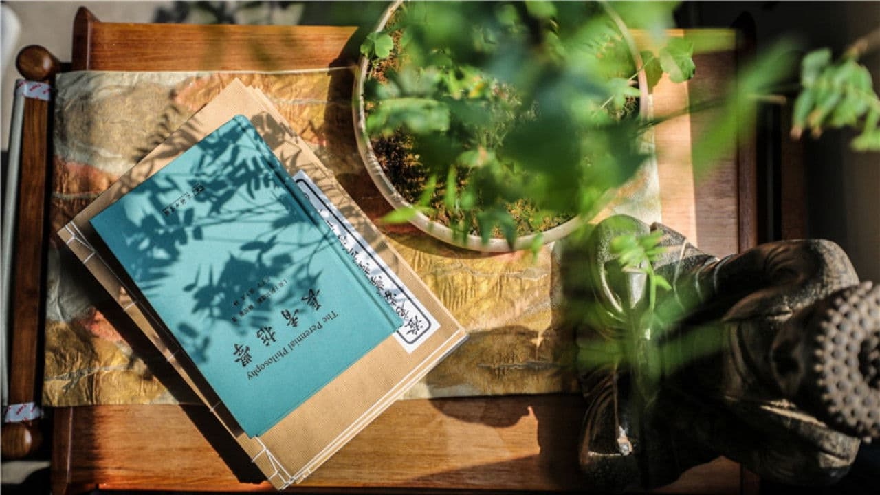 The World in My Books