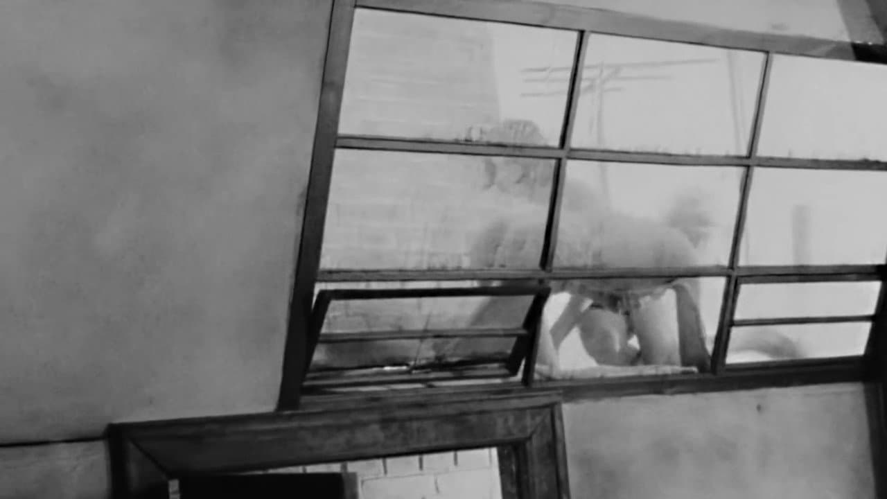 Identification Marks: None