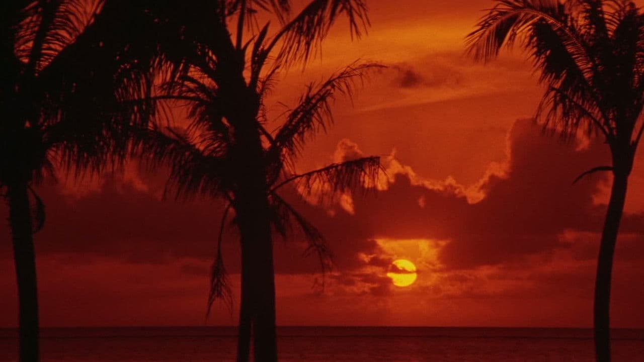 Japanese Godfather: Conclusion