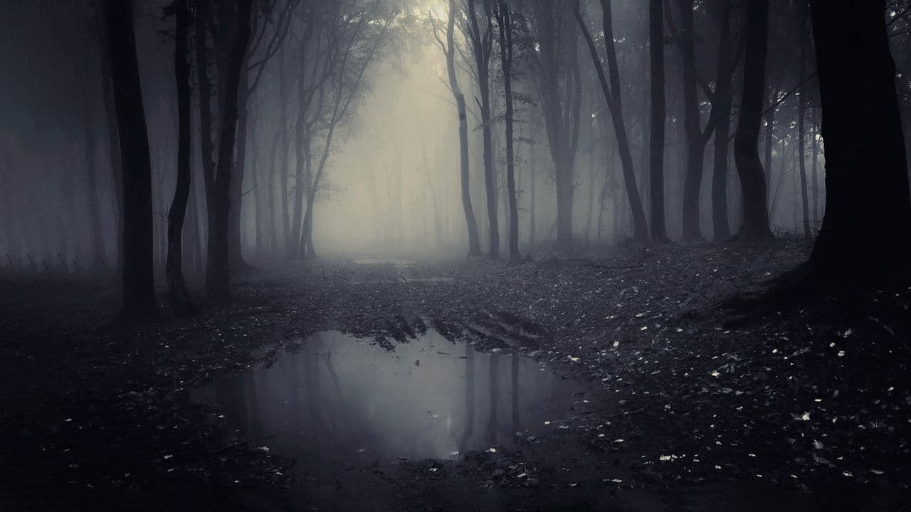 A Lenda do Homem Pássaro