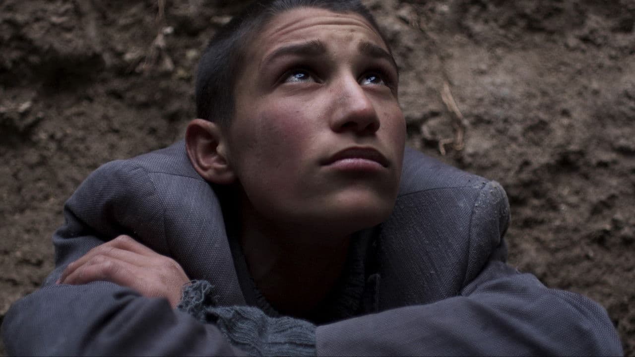 Empire of the Rabbits