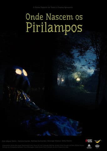 Where Fireflies Sparkle