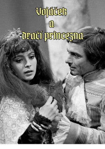 Vojáček a dračí princezna