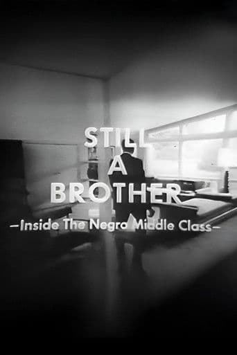 Still A Brother: Inside the Negro Middle Class
