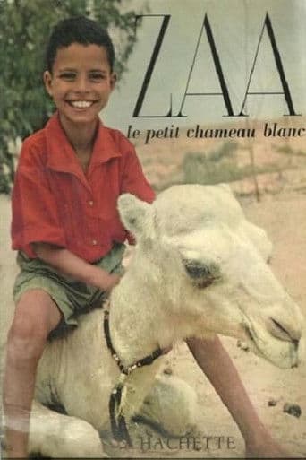 Zaa, the Little White Camel