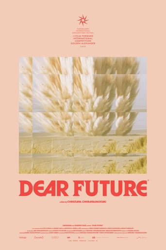 Dear Future