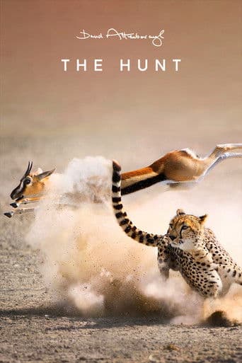 The Hunt