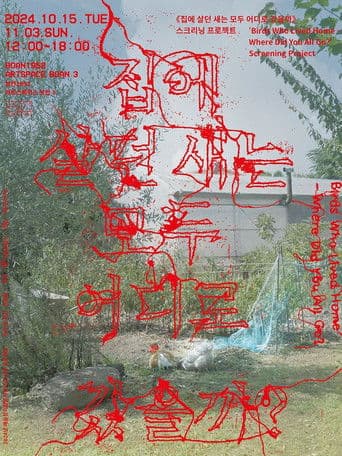 The Birds Who Lived Home - Where Did You All Go?