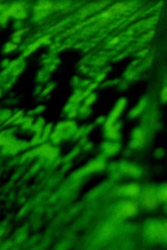 Words Fly Back to the Black Earth