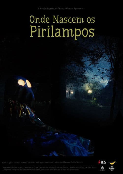 Where Fireflies Sparkle