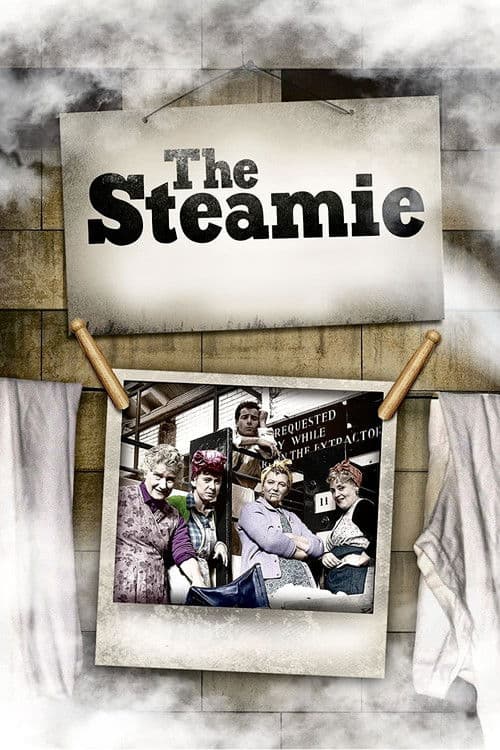 The Steamie