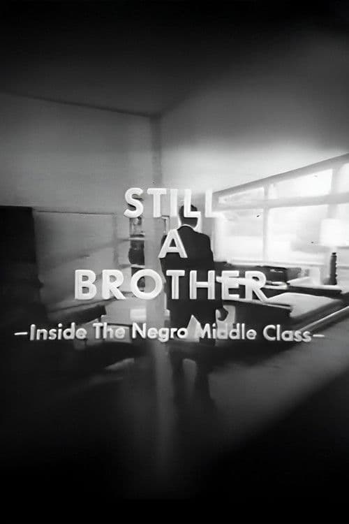 Still A Brother: Inside the Negro Middle Class