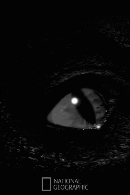 Prehistoric Monsters Revealed