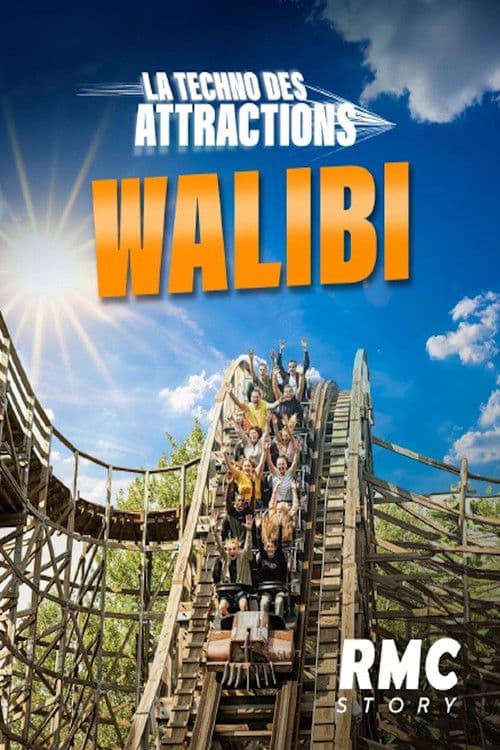 Walibi la techno des attractions