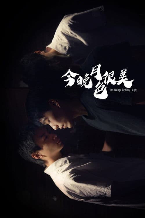 The Moonlight is Shining Tonight