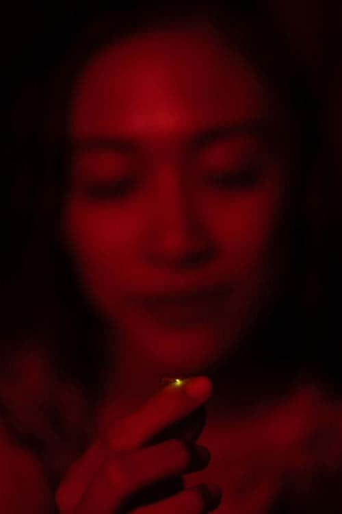 Return of the Fireflies