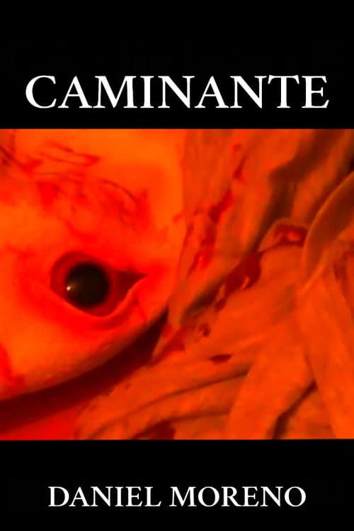 CAMINANTE