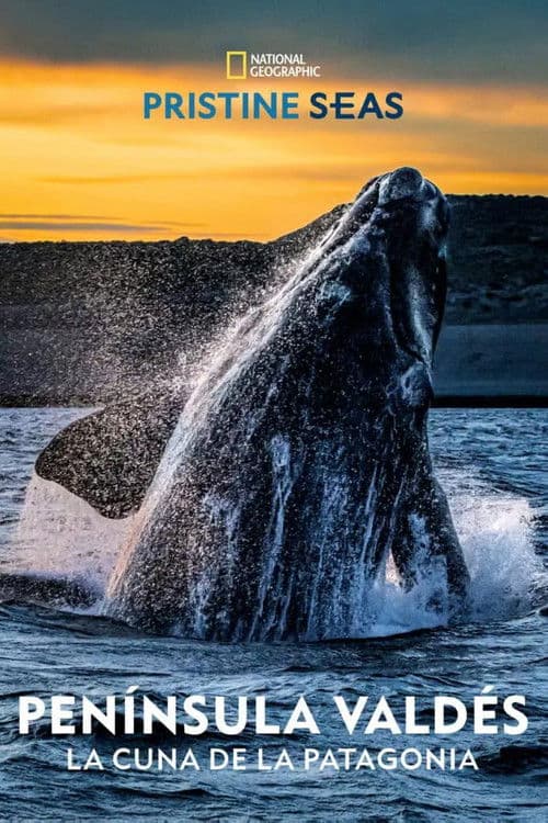 Península Valdés: La Cuna de la Patagonia