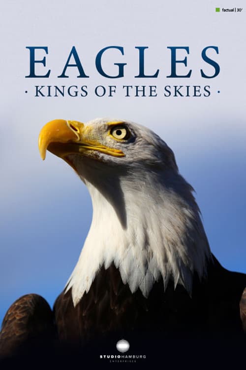 Eagles - Kings of the skies