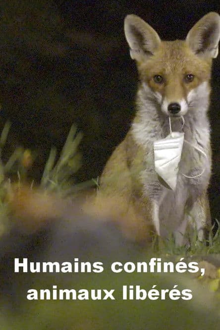 Menschen eingesperrt, Tiere befreit