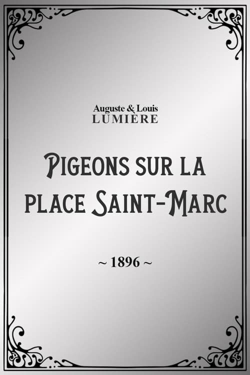 Pigeons sur la place Saint-Marc