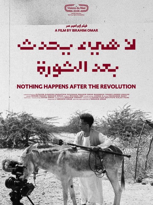 Nothing Happens After the Revolution