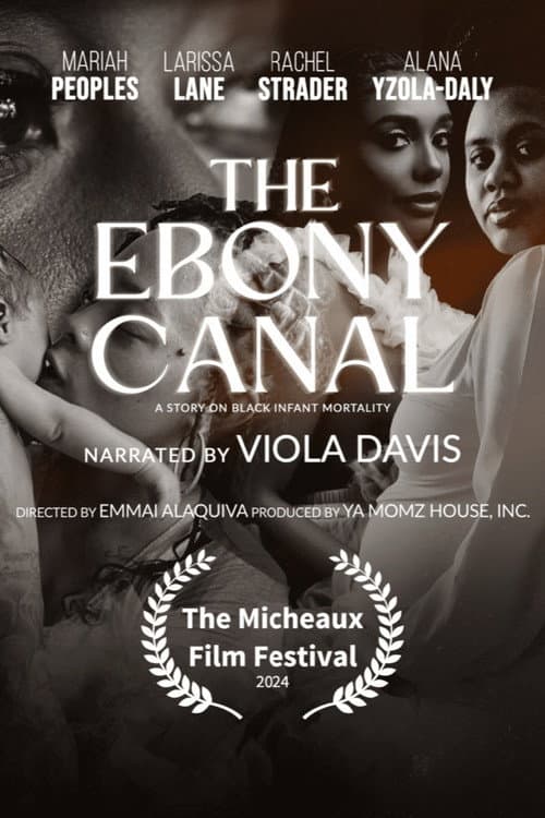 The Ebony Canal: A Story of Black Infant Mortality