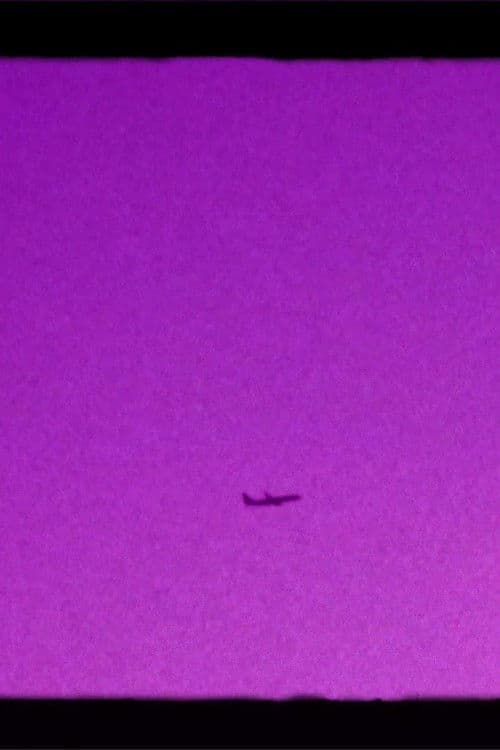 Shoegazer's Brown Eye Reverie