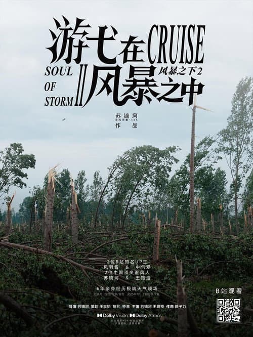 游弋在风暴之中