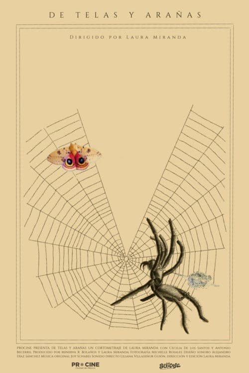 Of Webs and Spiders