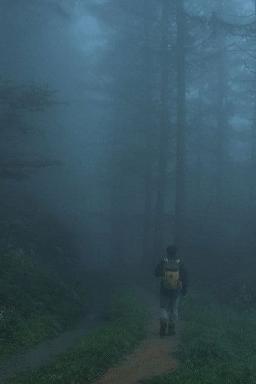 Men Wandering in the Mountain