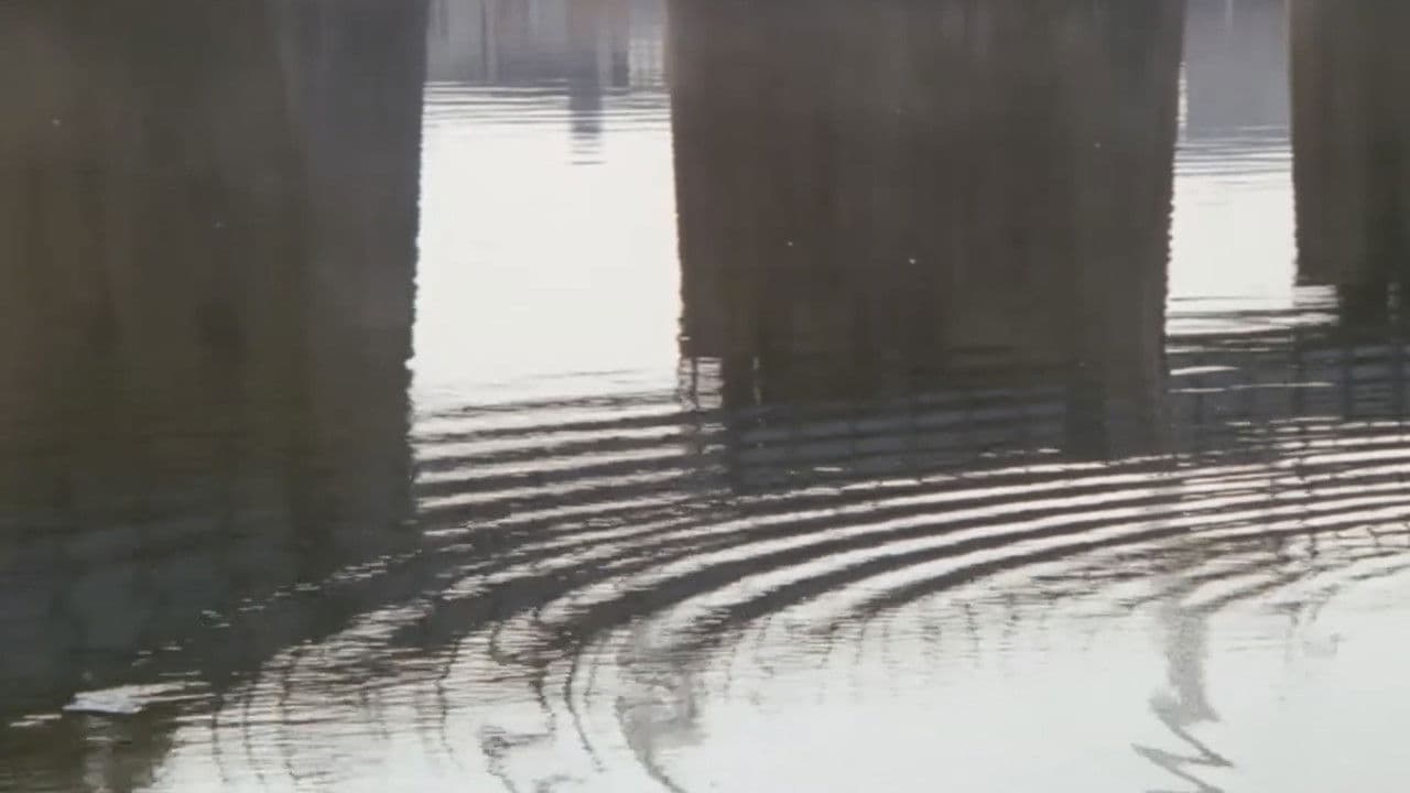 Ginza Neon District: A Woman's Climax