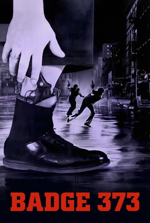 Badge 373