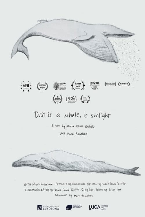 Dust is a Whale, is Sunlight