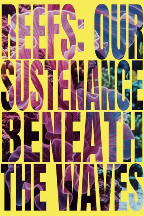 Reefs: Our Sustenance Beneath the Waves